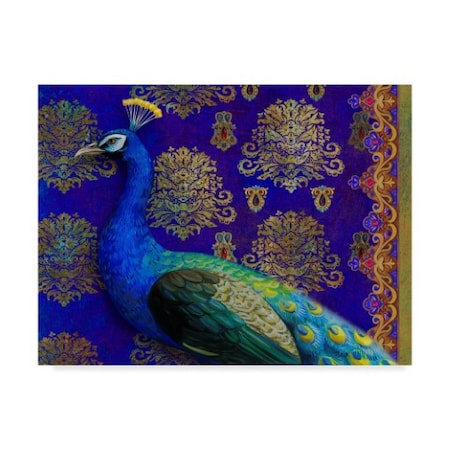 Maria Rytova 'Indian Peacock' Canvas Art,14x19